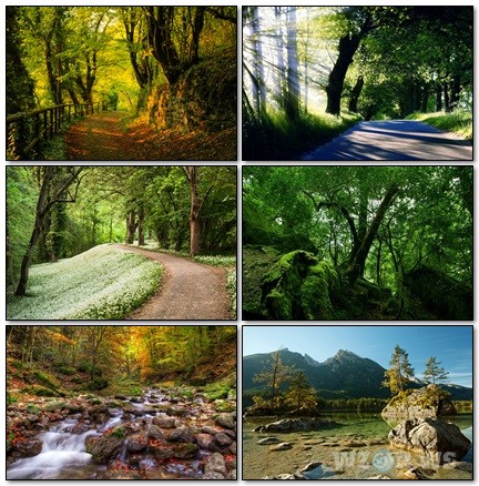 Nature Wallpapers Mix 1 Nature Wallpapers Mix 1